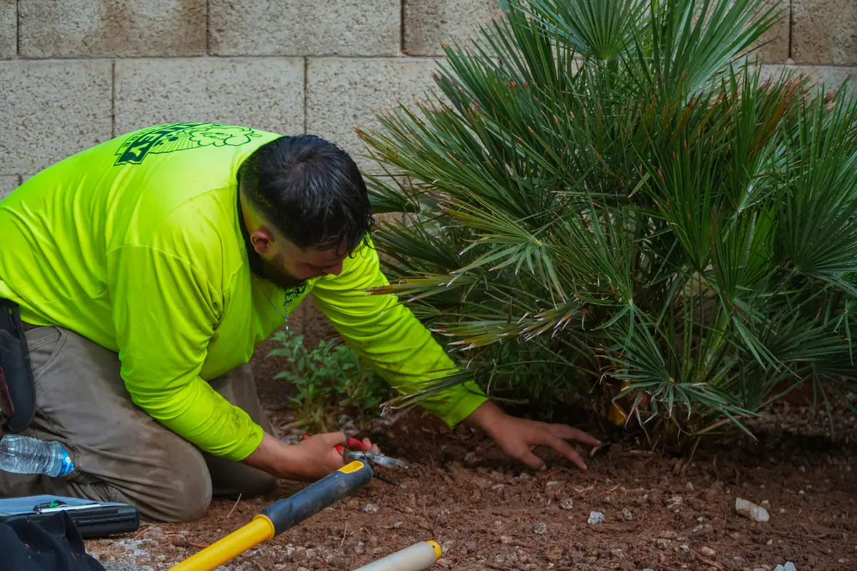 A Valley Tree Care technician at work in a planting bed